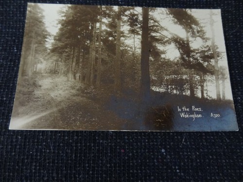 The pines wokingham - in,
