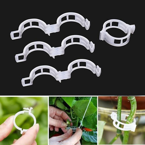 Clip supporto piante - clip,