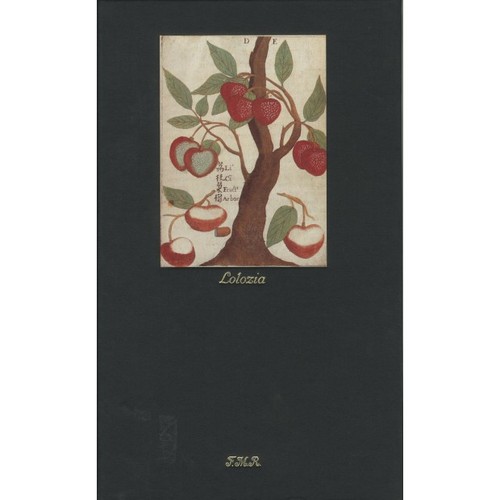 Lolozia guide impossibili - guide,