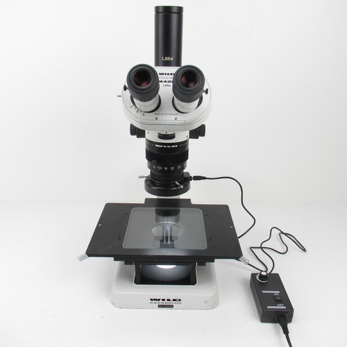 Microscopio zoom continuo 5 - microscopio,