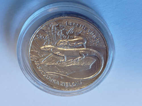 Zloty 2009 lucertola - 2009,