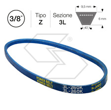 F1231610 Cinghia per