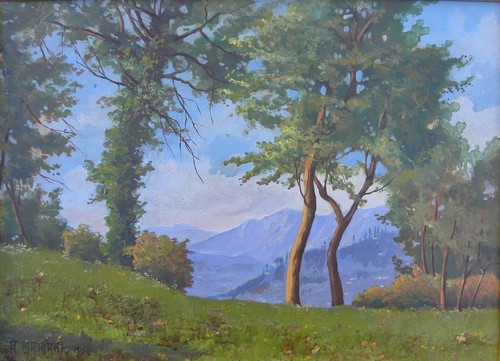 Andrea mairani milano - andrea, (milano