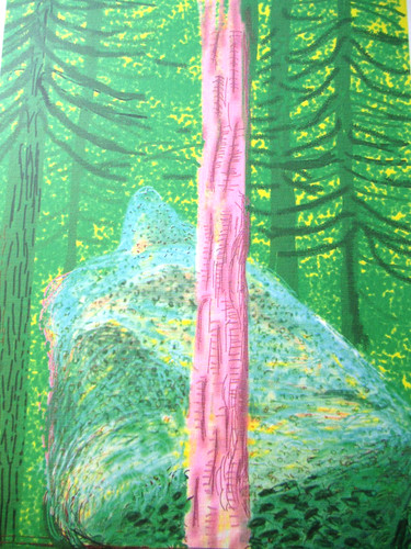 Litografia david hockney - david,