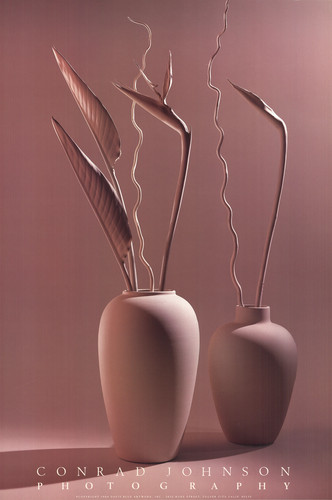 Conrad johnson scultura - johnson, ii