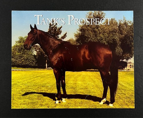 Vecchia brochure inglese