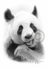 Stampa disegno a matita PANDA