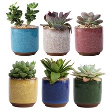 6 Pcs Vasi Ceramica Per Piante