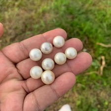 8 pezzi 11,5 mm perle dei mari