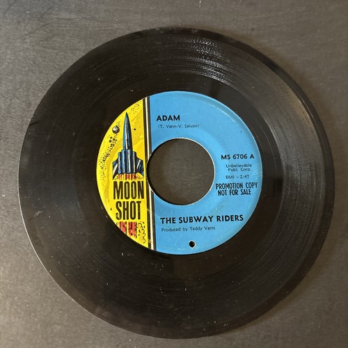 The subway riders - the,