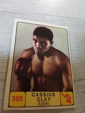 Figurine Panini Campioni dello