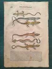 MATTIOLI MATTHIOLI Erbario a