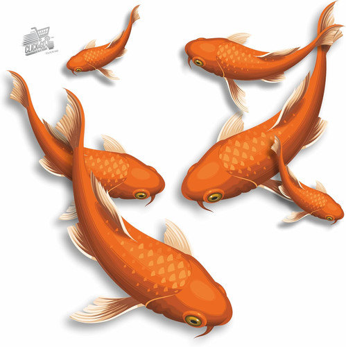 Adesivi pesce koi arancione - adesivi,