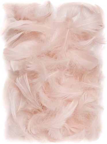 150 piume decorative beige - , 10