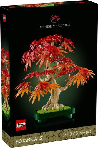 Acero rosso giapponese - acero,