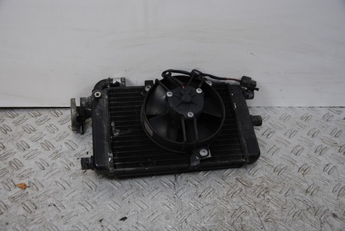 60381 radiatore - 60381,