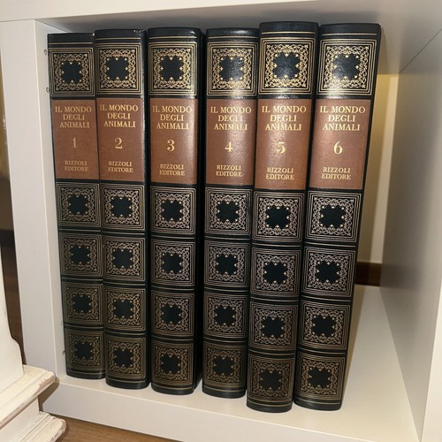 Enciclopedia volumi mondo - enciclopedia, 6