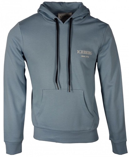 Felpa con cappuccio iceberg - felpa,