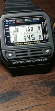 Casio BM 100WJ