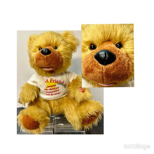 Peluche orso parlante animato - orso,