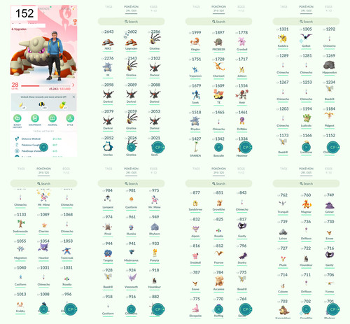 Pokémon acc lvl 1 - lvl, 28