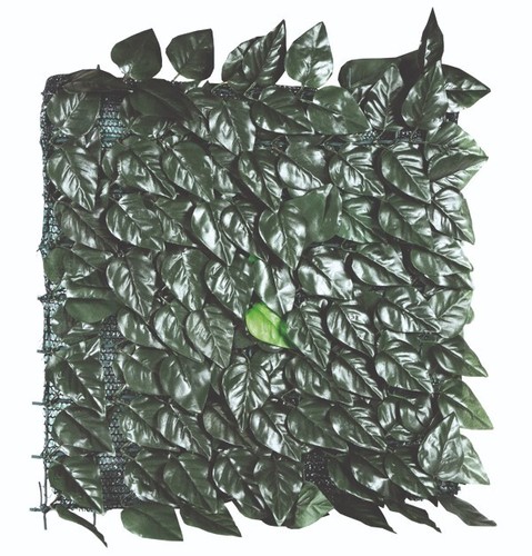 Arella sintetica foglie lauro - arella,