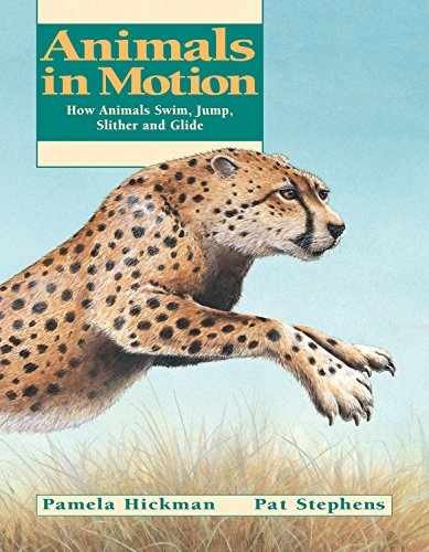 Animals motion how - animals, motion: