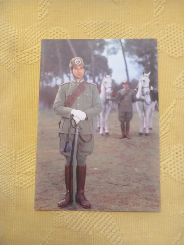 Cartolina arma carabinieri - cartolina,
