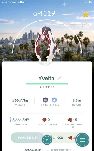 Pokémon shiny yveltal - -,