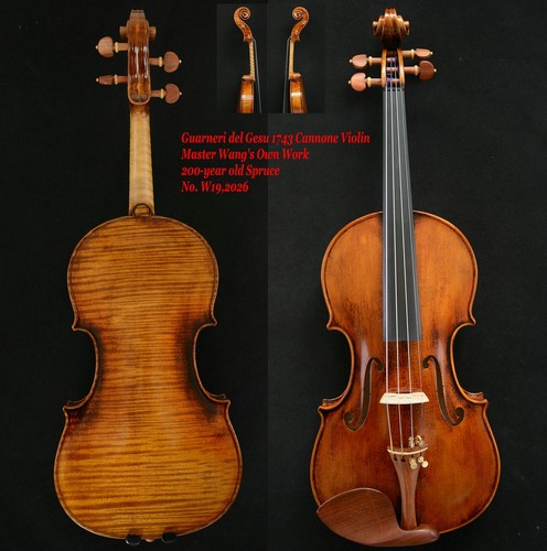 Guarneri violino maestro - guarneri,
