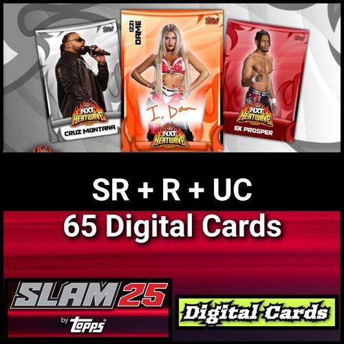Set carte topps - 65, slam