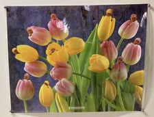 Ann Geddes, poster originale