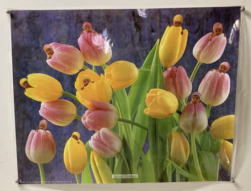 Ann geddes poster originale - ann,