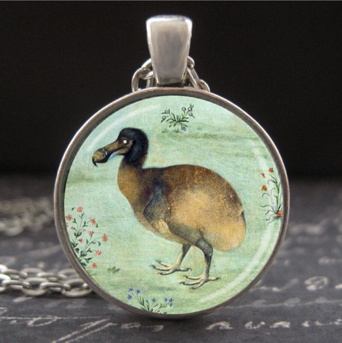Collana uccellino dodo - uccellino, xvii