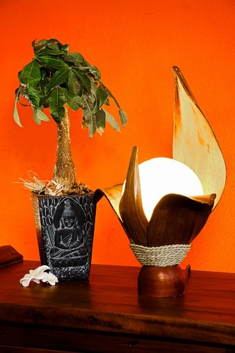 Legno lampada noce - legno, di