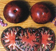 * ENORME POMODORO NERO GOURMET