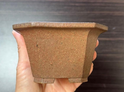 Vaso per bonsai - , giapponese