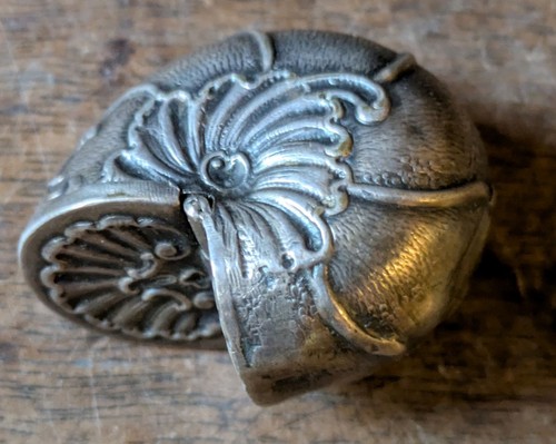 Traum nautilus schnecke - traum,