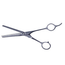 Forbici Dentate Professionali Per Capelli 6.5 In Acciaio Inox