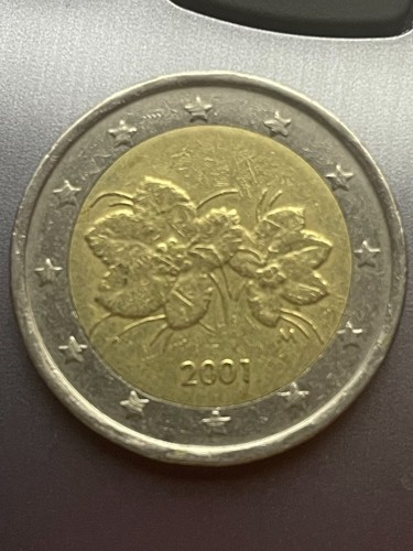Moneta euro rara fior di - rara,