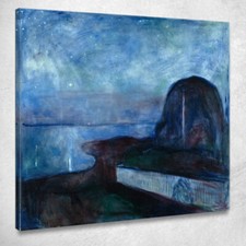 Notte stellata edvard - stellata,