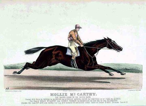 Mollie carthy horse a4 - carthy,