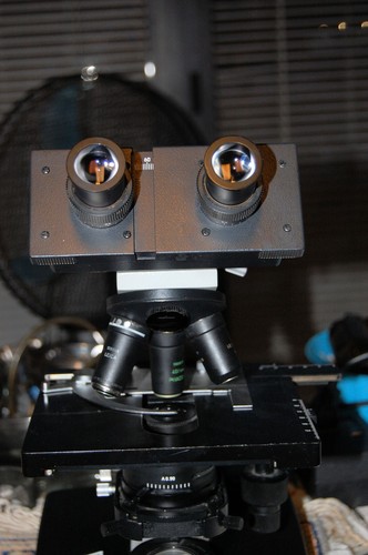 Microscopio originale leitz - microscopio,