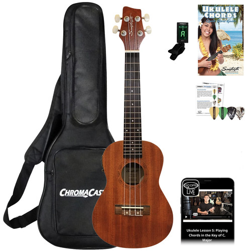 Kit ukulele concerto - ukulele, in