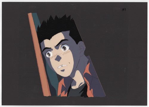 Cel originale per video - ,