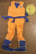Costume Dragon Ball Z Goku