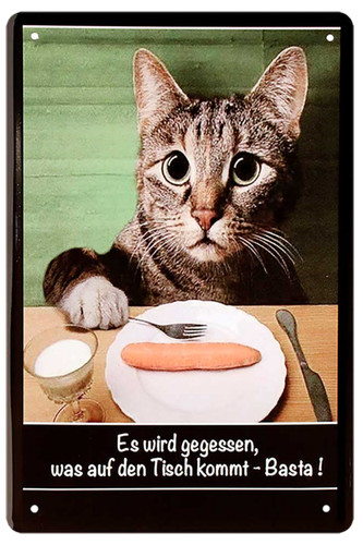 Gatto mangia quello - ''gatto,