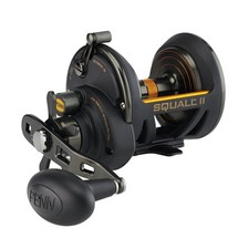 Penn Reel Squall II Star Drag
