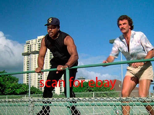 Magnum tom selleck foto - magnum,