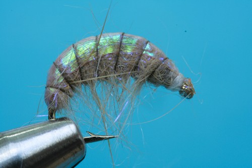 Fliegentom ninfa pezzi scud - fliegentom,